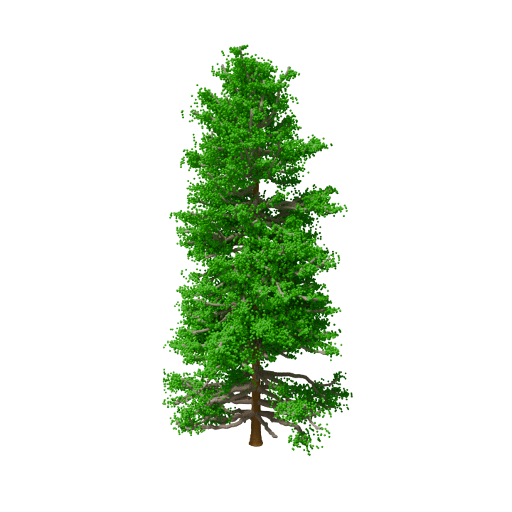 Synthetic tree point clouds