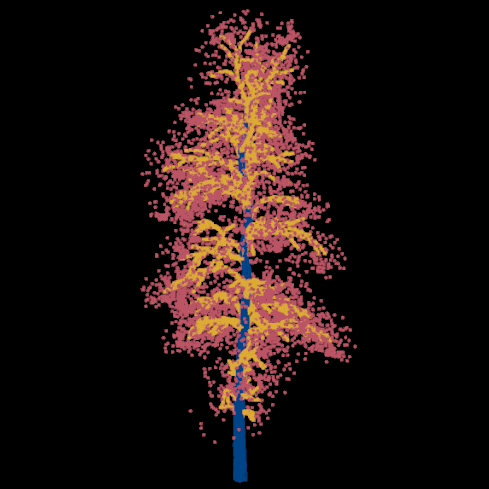 Tree Segmentation
