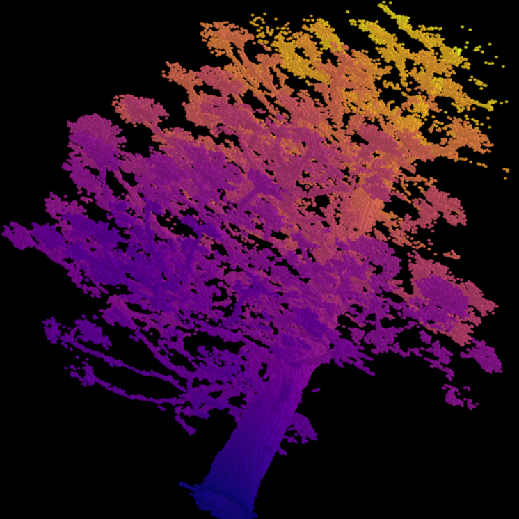 Voxel Classification